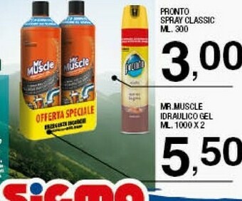 Sigma Mr muscle Idraulico Gel offerta