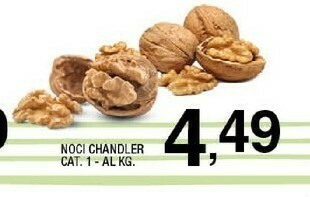 Sigma Chandler Noci offerta