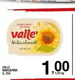 Vallè Margarina 250 G(ml)