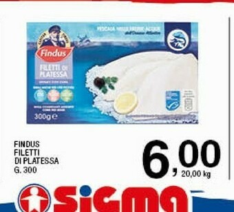 Sigma Findus Filetti Di Platessa 300 G(ml) offerta