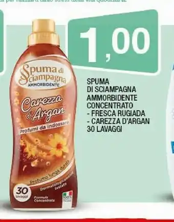 Spuma di Sciampagna Ammorbioente Concentrato