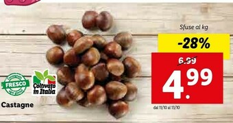 Lidl Castagne offerta