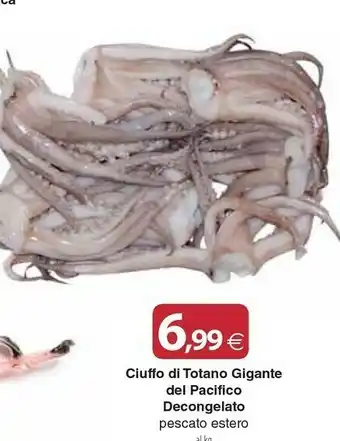 Docks Cash&Carry Ciuffo Di Totano Gigante Del Pacifico offerta