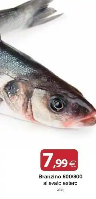 Docks Cash&Carry Branzino offerta