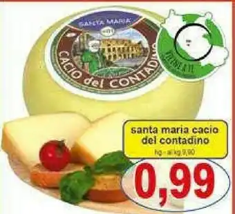 Gros Santa maria Insalata offerta