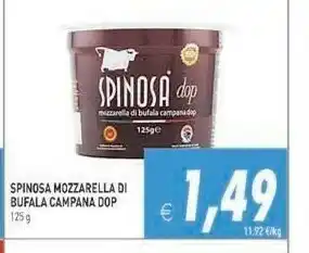 Iperfamily Spinosa Mozzarella di bufala offerta