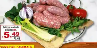 Gros Dell Salsicce offerta