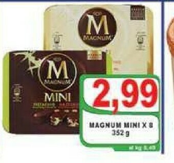 Gros Magnum Magnum offerta