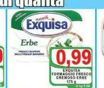 Gros Exquisa Formaggio spalmabile offerta