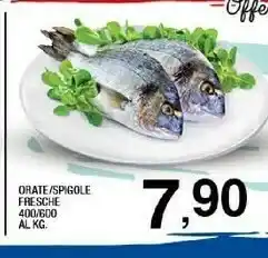 Orate / Spigole