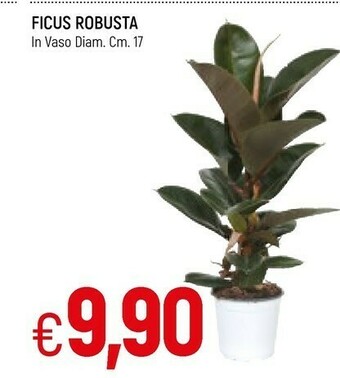 Famila Piante offerta