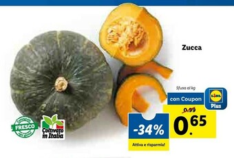Lidl Zucca offerta