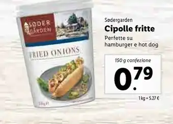Lidl Sodergarden Cipolle Fritte offerta