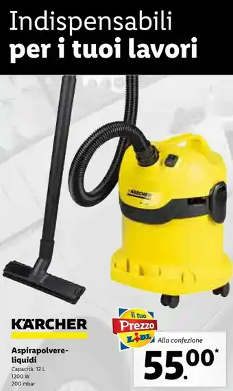 Lidl Kärcher Aspirapolvere Liquidi offerta