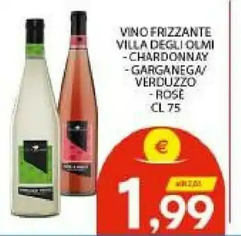 Vivo Supermercati Garganega - Vino Frizzante 750 G(ml) offerta