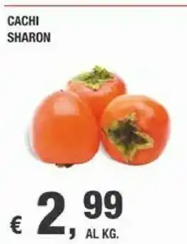 Crai Cachi Sharon offerta