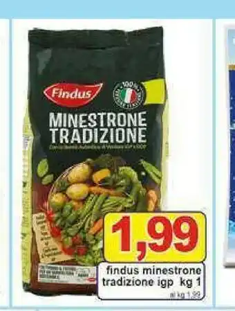 Gros Findus Minestrone offerta