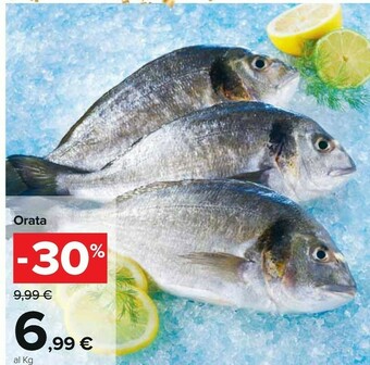 Carrefour Orata offerta