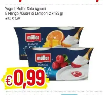 Famila Muller Yogurt offerta