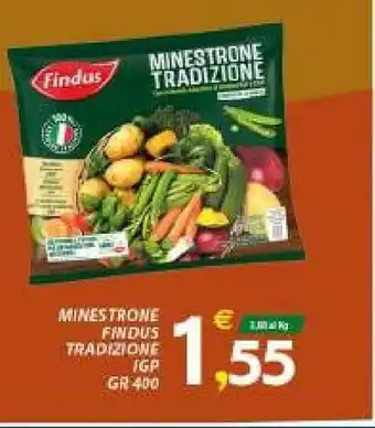 Vivo Supermercati Findus Minestrone offerta