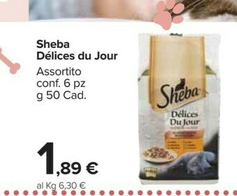 Carrefour Sheba Délices Du Jour offerta