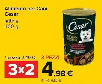 Carrefour Cesar Alimento Per Cani offerta