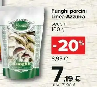 Carrefour Linea Azzurra Funghi Porcini offerta
