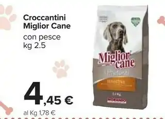 Carrefour Miglior Cane Croccantini offerta