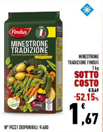 Conad City Findus Minestrone Tradizione 1kg offerta