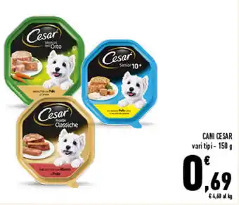 Conad City Cesar Cani 150g offerta
