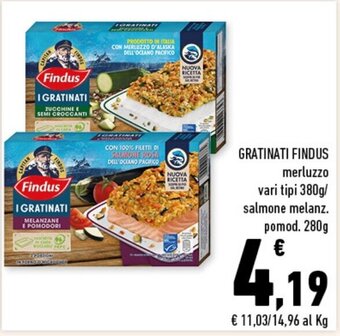 Conad Superstore Findus Gratinati 380g/280g offerta