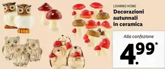 Lidl Livarno Home Decorazioni Autunnali In Ceramica offerta