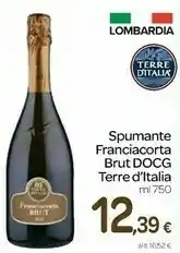 Carrefour Terre d'Italia Spumante Franciacorta Brut Docg offerta