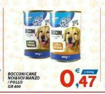 Vivo Supermercati Noi&voi Bocconi Cane offerta