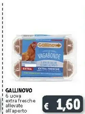 Deco Supermercati Gallinovo Uova offerta