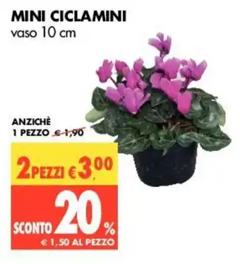 Tigros Mini Ciclamini vaso 10cm offerta