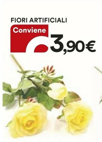 Coop Fiori Artificiali offerta