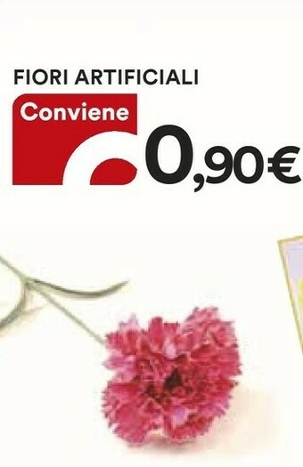 Coop Fiori Artificiali offerta