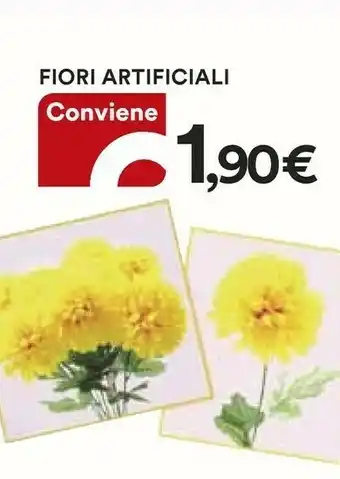 Coop Fiori Artificiali offerta