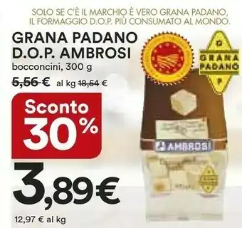 Coop Ambrosi Grana Padano Bocconcini 300 G(ml) offerta