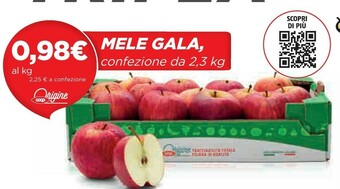 Coop Mele Gala offerta