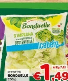 Crai Bonduelle Iceberg offerta