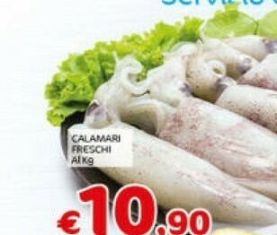 Calamari