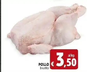 Deco Supermercati Pollo Busto offerta
