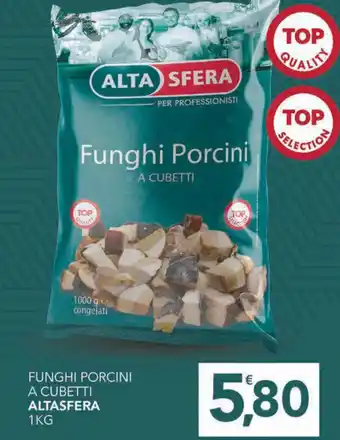 Altasfera FUNGHI PORCINI A CUBETTI ALTASFERA 1KG offerta