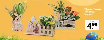 Lidl Piante di Pasqua con figura in legno offerta