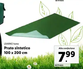 Lidl LIVARNO home Prato sintetico 100 x 200 cm offerta