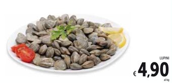 Spazio Conad Lupini offerta