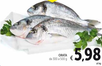 Spazio Conad Orata da 300 a 500 g offerta