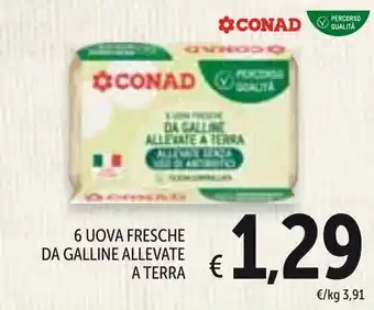 Spazio Conad 6 Uova Fresche da Galline Allevate a Terra offerta